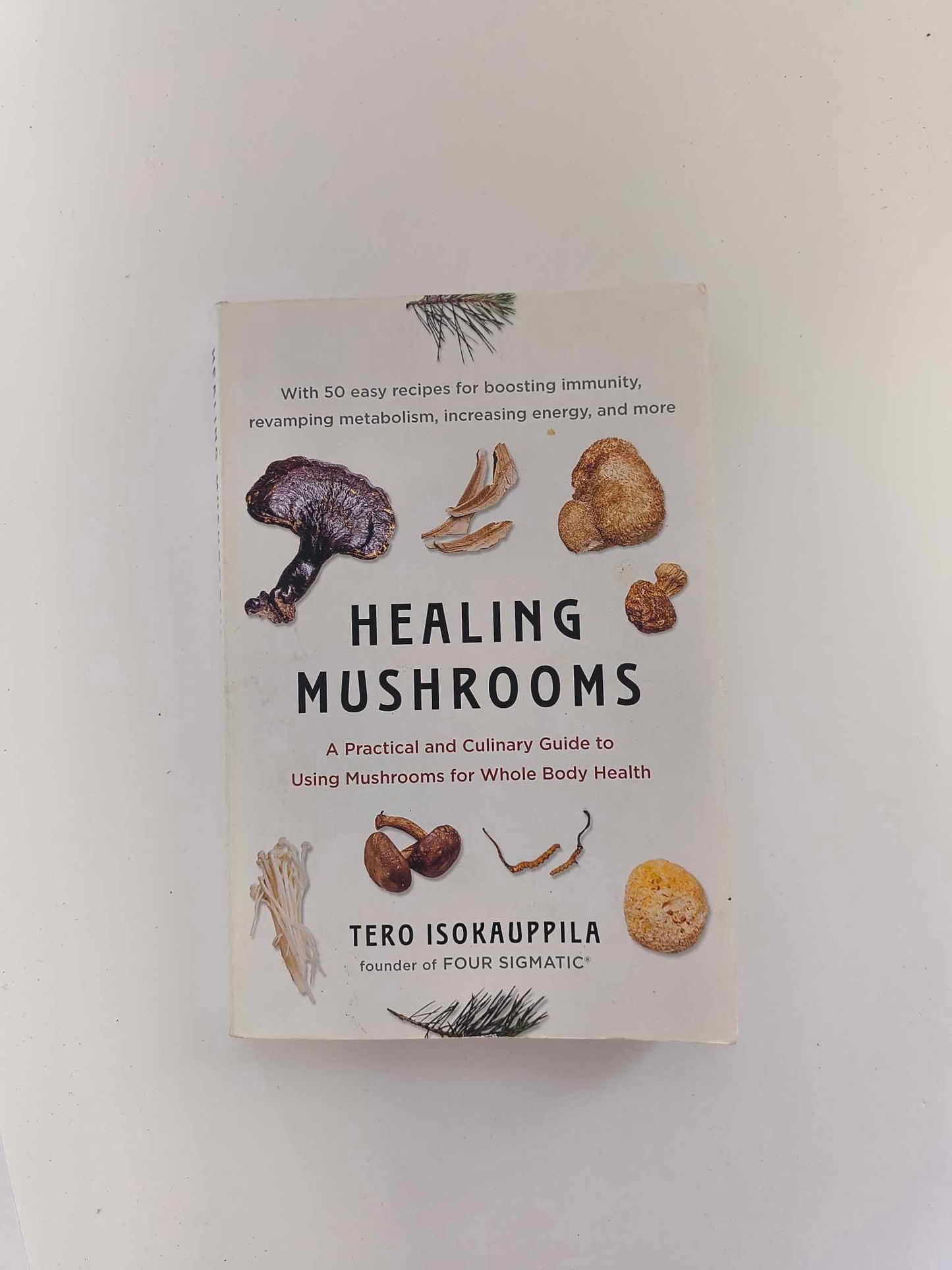 Healing Mushrooms